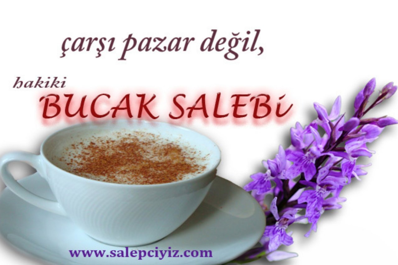 Bucak Salebi Nereden Alınır? | Dayıoğlu Salep